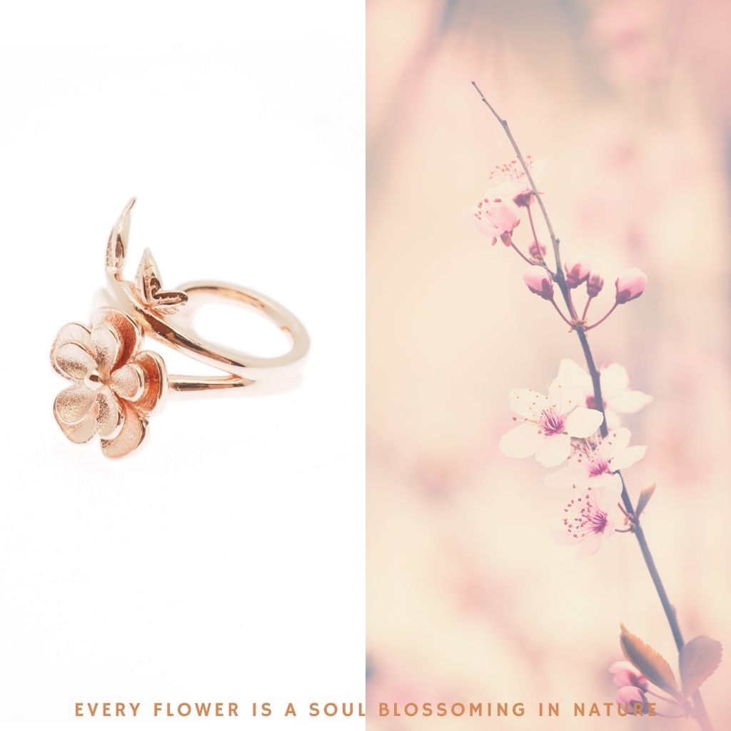 花季系列 - 一芳耳夾